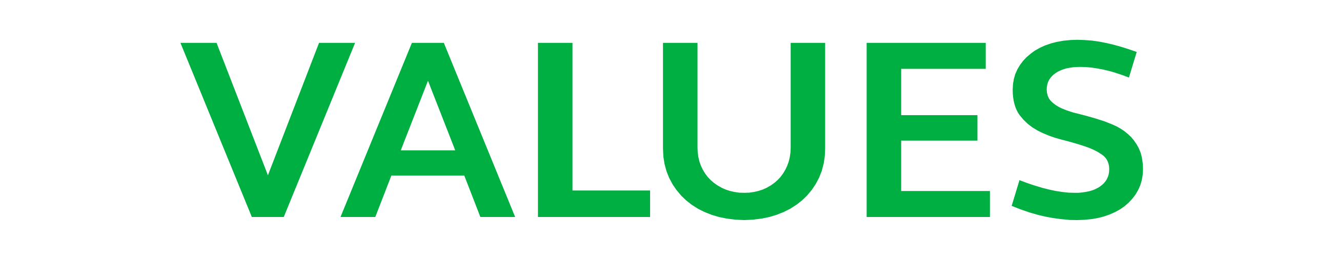VIRTUS Values Logo